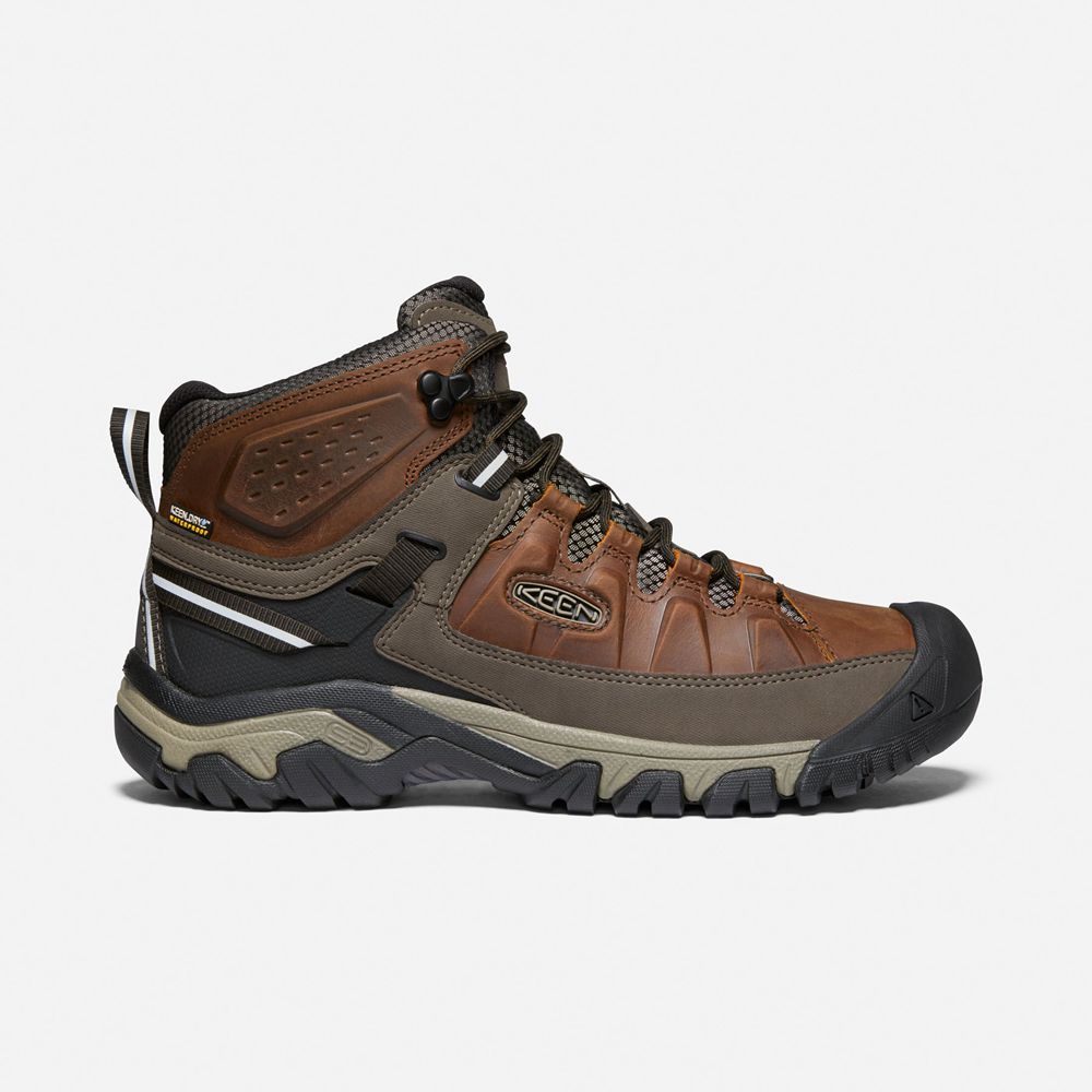 Keen Laarzen Heren Bruin - Targhee Iii Waterproof Mid - 30718-NTEB